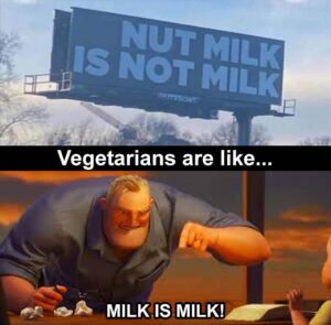 Stupid Bar Memes bs3s1