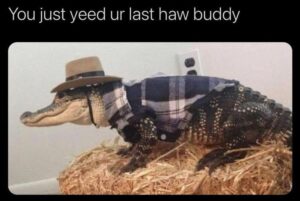 Stupid Bar Memes bsanimals2s1