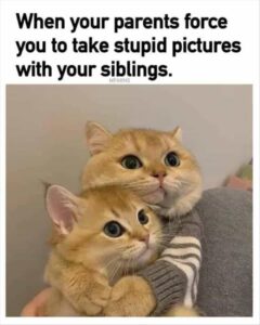 Stupid Bar Memes bsanimalss3