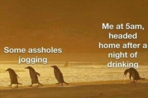 Stupid Bar Memes bsmemess2