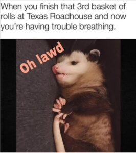 Stupid Bar Memes bss19s8