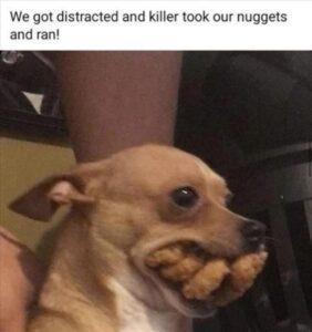Stupid Bar Memes bss1s3