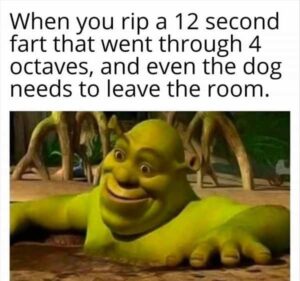 Stupid Bar Memes bss21s10