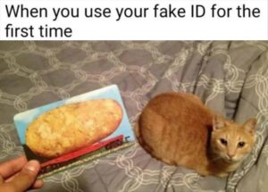Stupid Bar Memes bss37s9