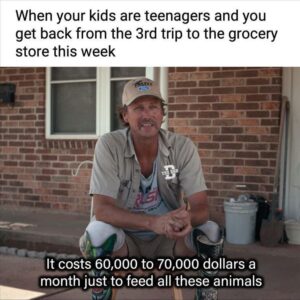 Stupid Bar Memes bss38s3