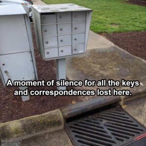 Stupid Bar Memes bss3s13