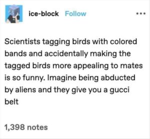 Stupid Bar Memes bss7