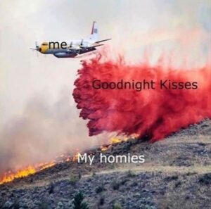 Stupid Bar Memes bss7s1