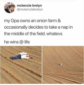 Stupid Bar Memes c08ae864d2d969b2