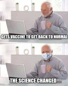 Stupid Bar Memes c442571ecba64846
