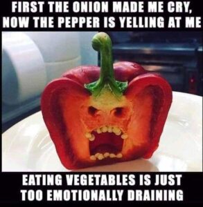 Stupid Bar Memes c68ec0395d4cc3b8