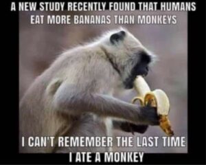 Stupid Bar Memes c9c9591dc74f77d1
