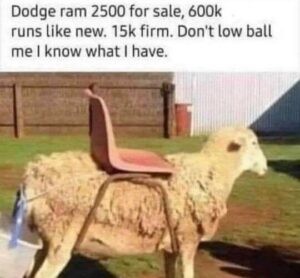 Stupid Bar Memes cca4b41dd8c48846