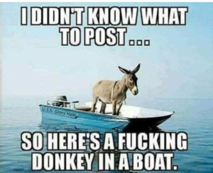 Stupid Bar Memes cce1137118df2fe5