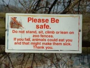 Stupid Bar Memes cf8753a6739dc699
