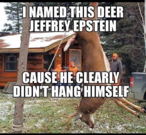 Stupid Bar Memes d473dbbfba462249 1