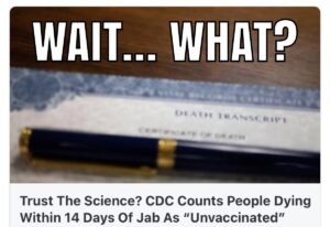 Stupid Bar Memes d6616d746f9e4229