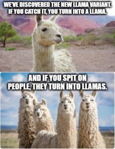 Stupid Bar Memes d6daee2d0e3f2121