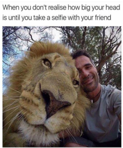 Stupid Bar Memes d9c71d09023e9b5c