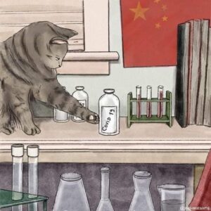 Stupid Bar Memes db6d05df1afaafcc
