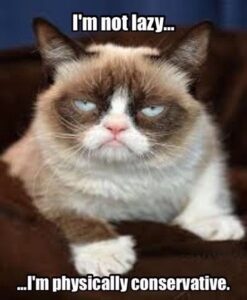 Stupid Bar Memes download 1