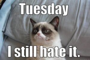 Stupid Bar Memes download