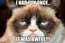Stupid Bar Memes download 7