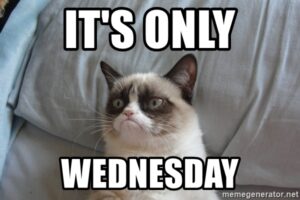 Stupid Bar Memes download 9