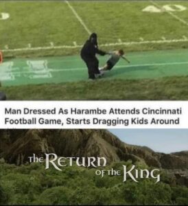 Stupid Bar Memes dressed as harambe attends cincinnati football game starts dragging kids around abe return king of1