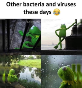 Stupid Bar Memes e148cbc5d3a59558