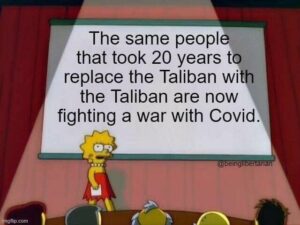 Stupid Bar Memes e2e1f8bc5d071859
