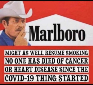 Stupid Bar Memes e48afdd08a0d4371