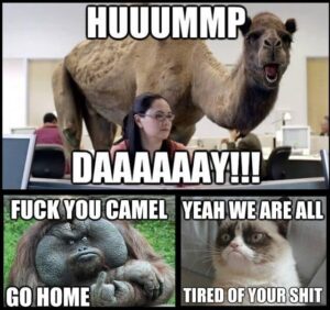 Stupid Bar Memes e8ad5572fca531e2