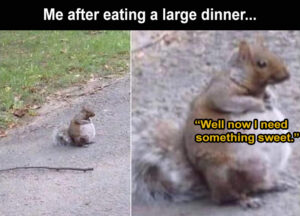 Stupid Bar Memes eating