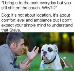Stupid Bar Memes ef0c8a1827b24c3a