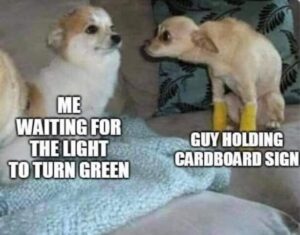 Stupid Bar Memes ef976f2eb771d988