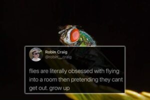 Stupid Bar Memes insects5301092s640