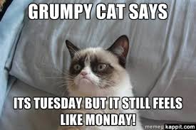 Stupid Bar Memes proxy image