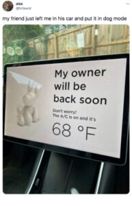 Stupid Bar Memes sstweets13s1