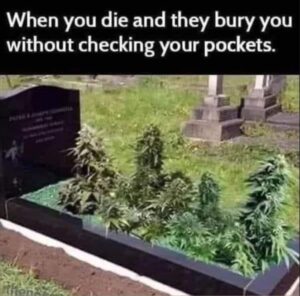 Stupid Bar Memes the grave
