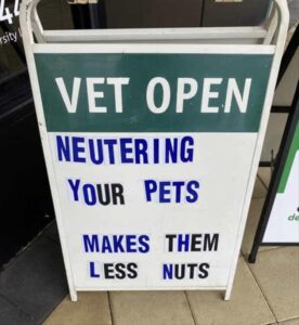 Stupid Bar Memes vets