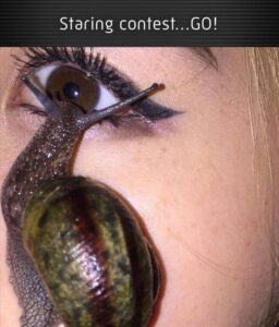 Stupid Bar Memes when youre having a staring contest