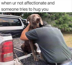 Stupid Bar Memes whenspeoplessuddenlysstartshuggingsyousagain