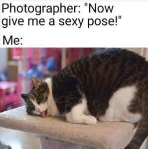 Stupid Bar Memes whenstakingsphotos