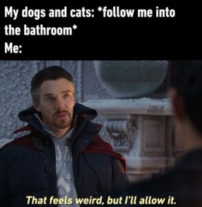 Stupid Bar Memes whensyousallowsit