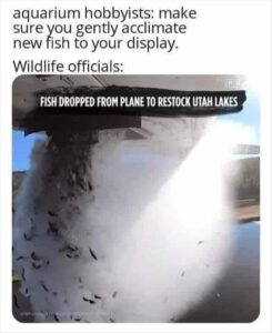 Stupid Bar Memes whensyousfishing