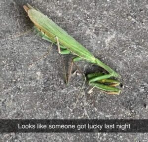 Stupid Bar Memes whensyousgotslucky