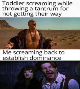 Stupid Bar Memes whensyoushavesastoddler