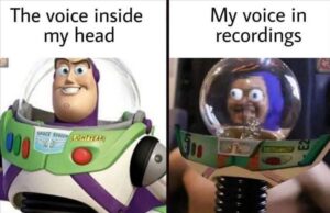 Stupid Bar Memes whensyoushavesasvoice