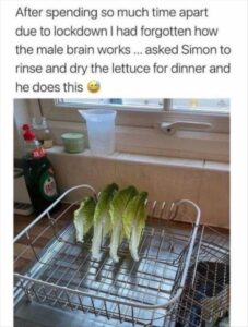 Stupid Bar Memes whensyousrinsestheslettuce